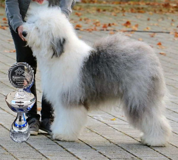 Antonia von den Wasen-Bobby's