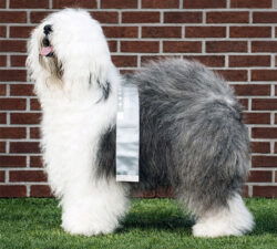 Barnolby Troubleshooter At Oldoak