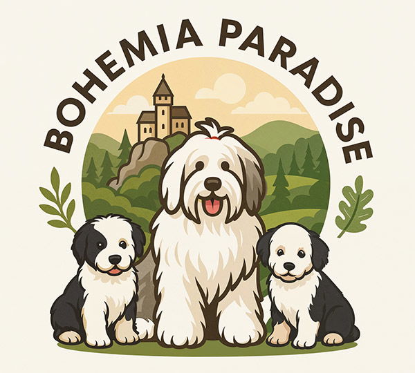 Bohemia Paradise