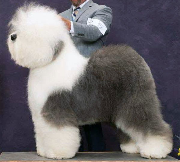 Bugaboo's Give Me S'More