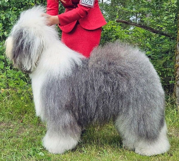 Czarlinda's Royal Heritage