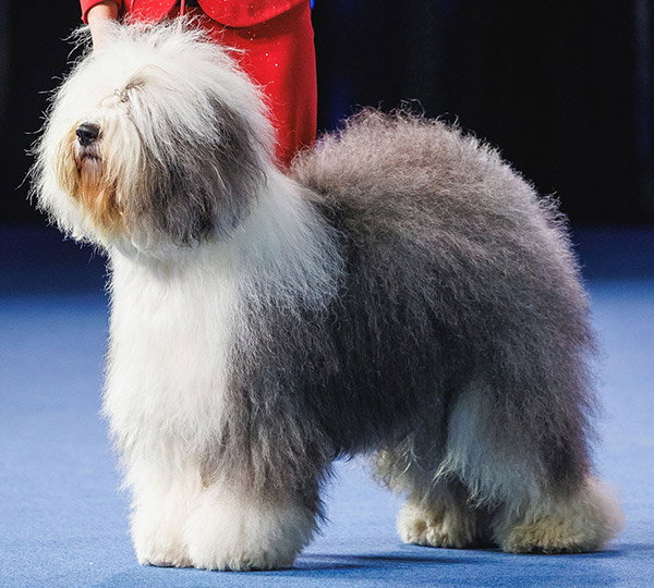 Czarlinda's Royal Heritage