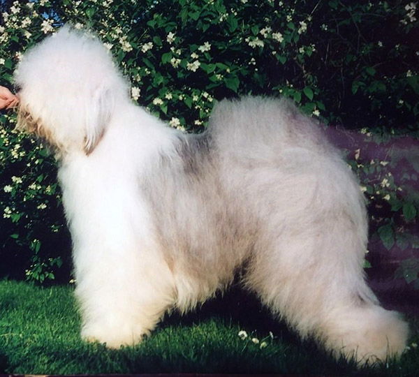 Ebony And Ivory's It's My Choice