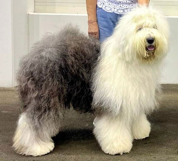 Enchant Key To My Heart