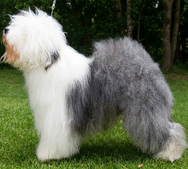 Farmarens Wery Well Winston