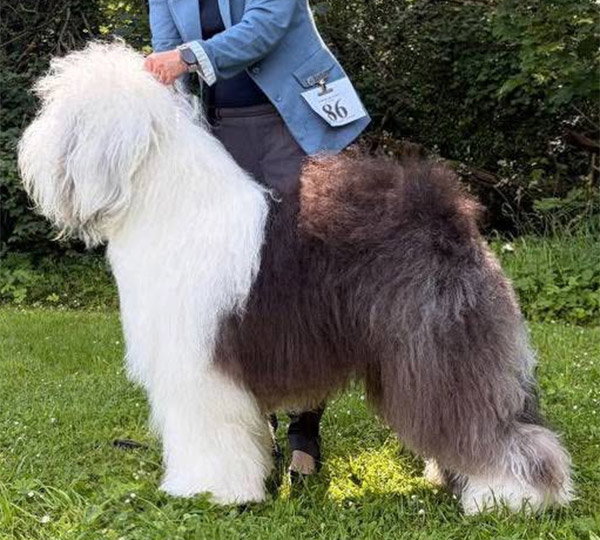 Furry Miracle Zorblaster