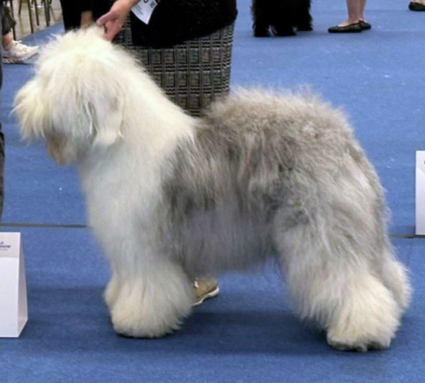 Kate a Child Of Gwenhwyfar