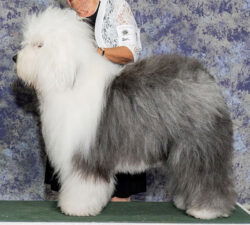 Ken-Bear's We've Only Just Begun