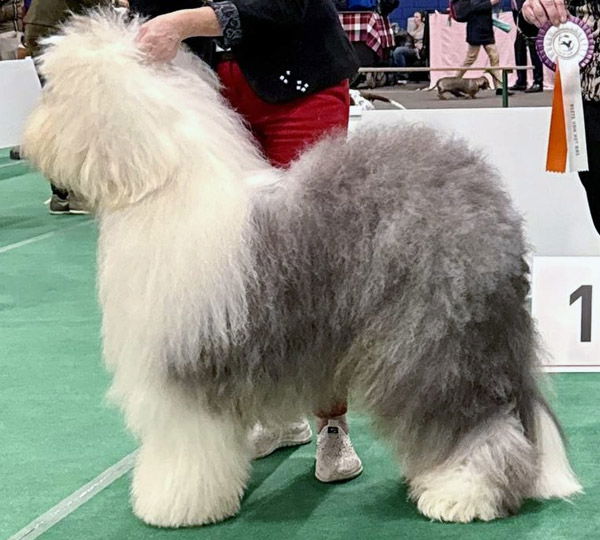 Love'N Stuff All American Snowboot Bear