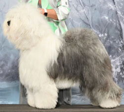 Love'n Stuff Life Of The Party