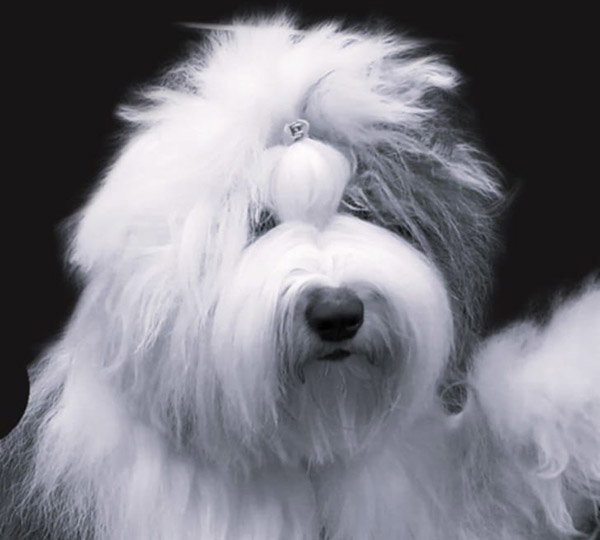 Melleonär's Including Full Board