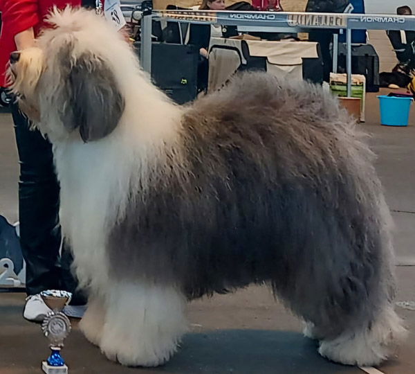 Melleonärs Keep Your Tail Up