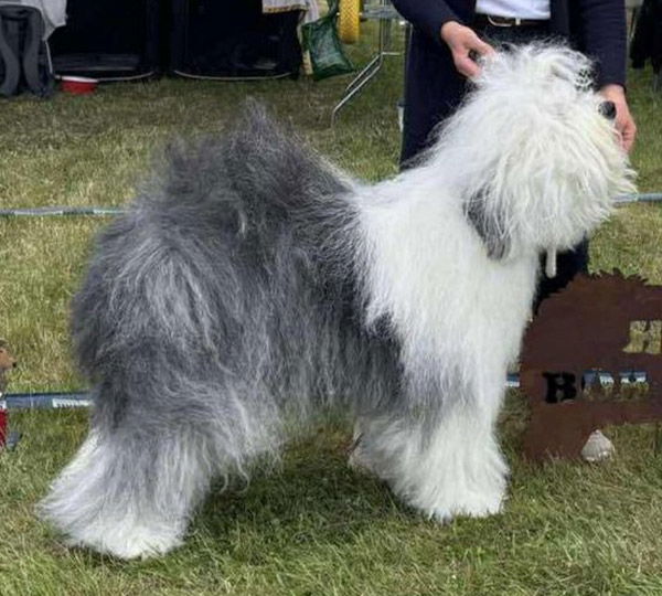 Niedersachen's Pride One Sweat Kiss