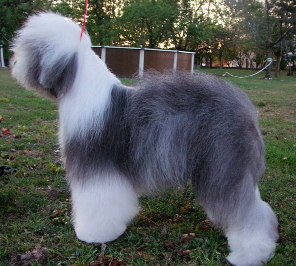 Quite My Choice Of Roseville