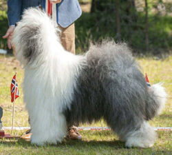 Stairway To Heaven Take That