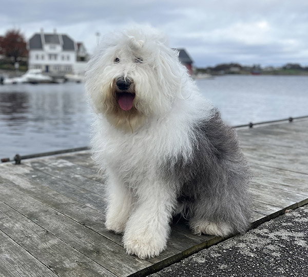 U're The One of Hillbilly Heights