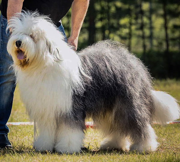 Von Und Zu aus dem Elbe-Urstromtal