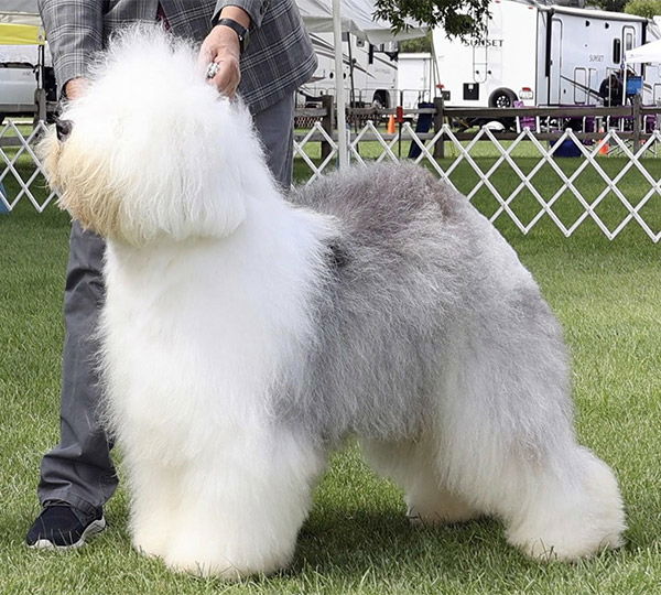 Wynsilot Swaying To The Beat