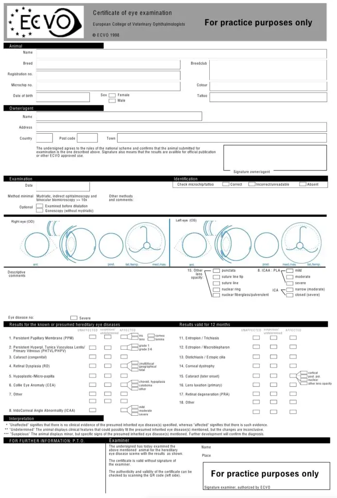 EVCO eye certificate example