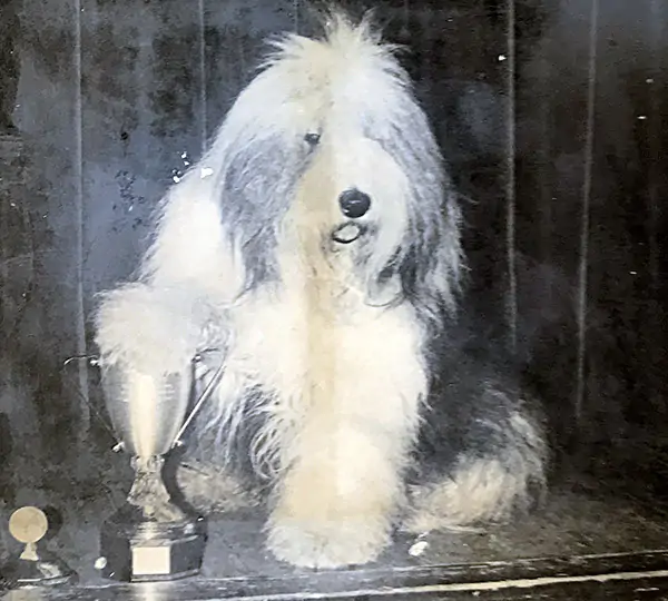 Appelsnut aus dem Elbe-Urstromtal