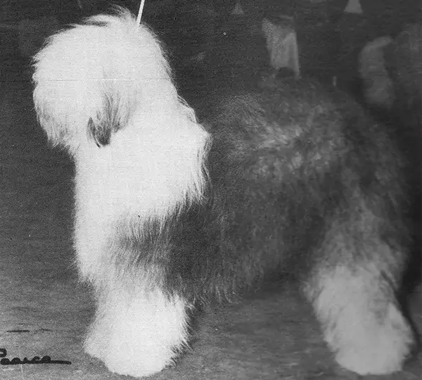 Bartines Most Happy Fella Of Jenards