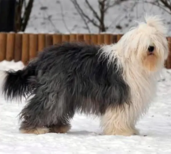 Blue Bayou aus dem Rotmaintal