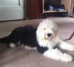 Isn't She Lovely Of The Cuddle Corner