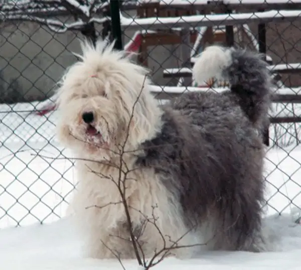 It started with a kiss From Beautiful Highland