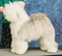 Love'n Stuff I Want It All