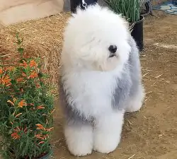 Love'n Stuff In A Perfect World