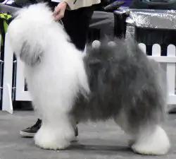 Makaylen Miss Money Penny