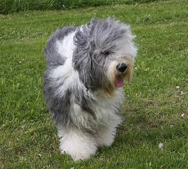 Pole-Position's Nasdaq