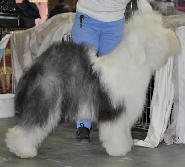 SeaLords You've Got Mail