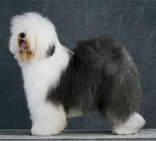 Sound Solution Ground Controll