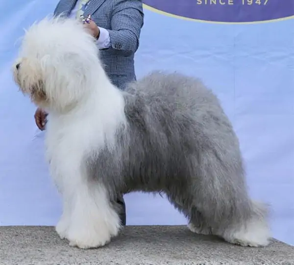 Underpressure aus dem Elbe-Urstromtal