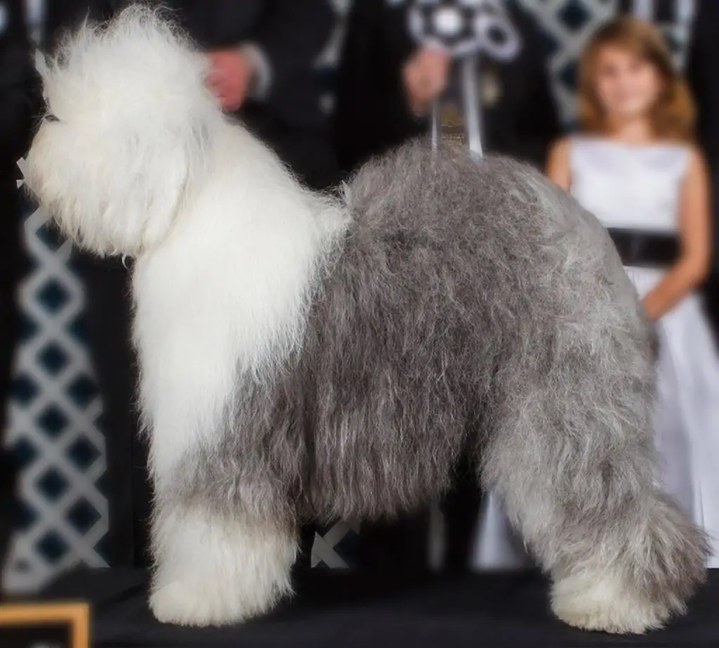 Vinterra's Cause For Applaus