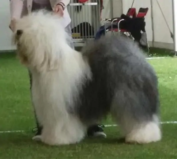 Zottels Best Kept Secret