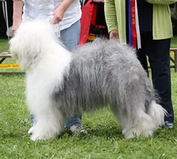 Zottels Once Upon A Time