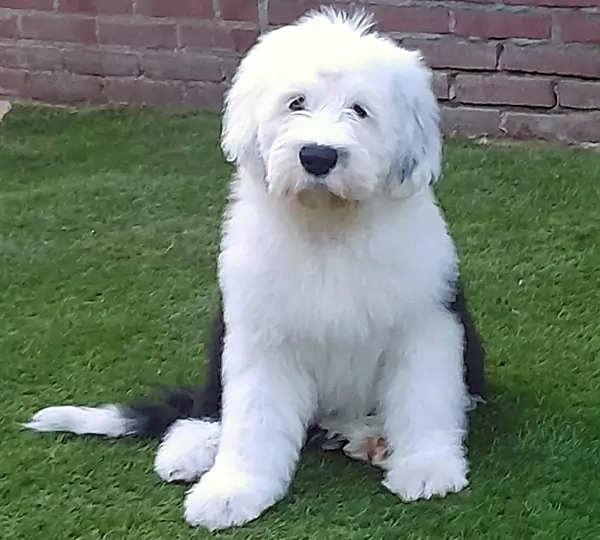 Arwen From Bobbers Love Of Beauty