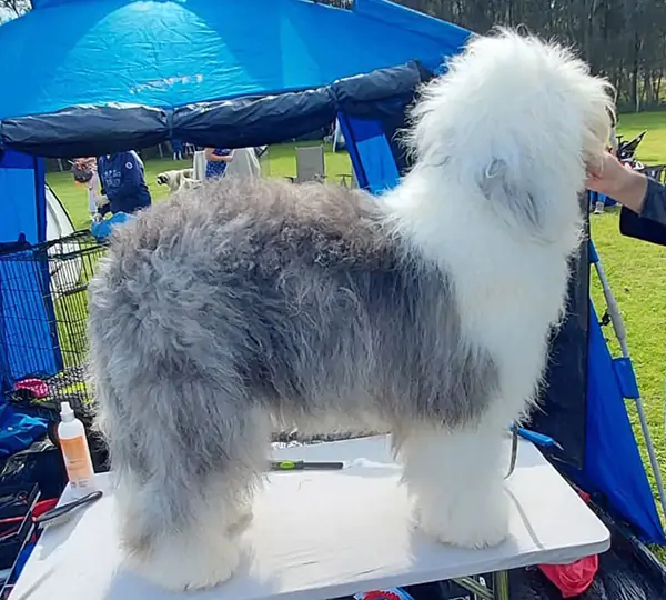 Berlin From Bobbers Love Of Beauty