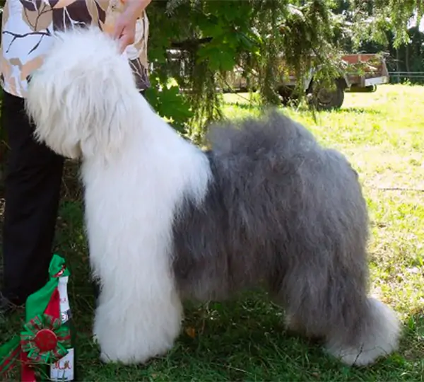 Betty A Child Of Gwenhwyfar