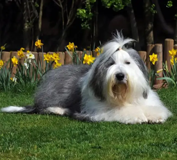 Birdie aus dem Rotmaintal