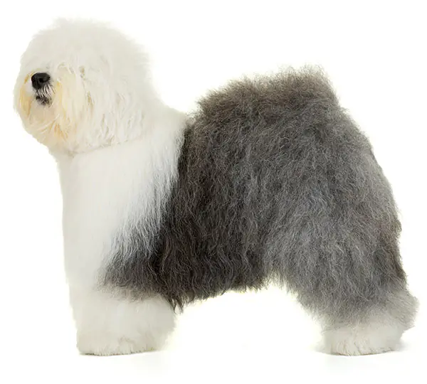 Blairdon The Water Of Life For Flufebustles