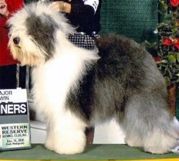 Capricorns Dark Passage