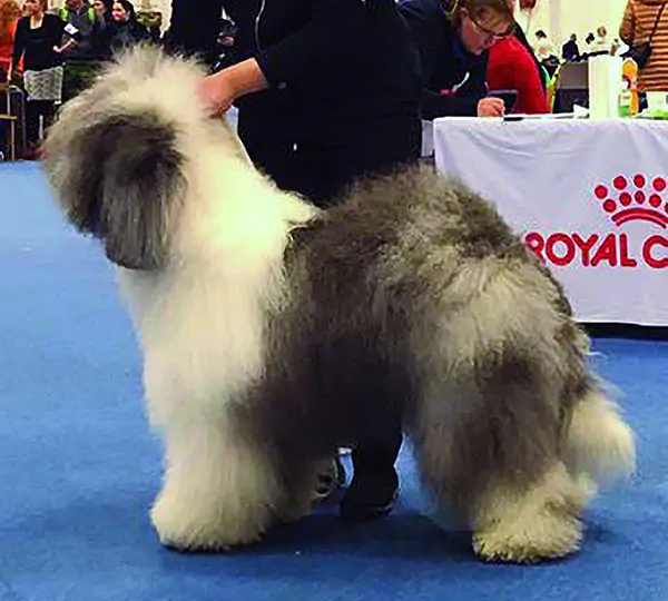 Czarlinda's Quick Change Of Mind