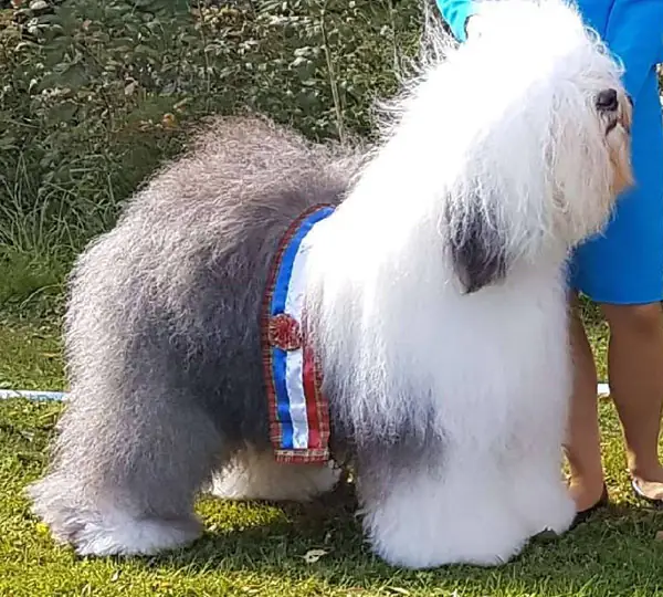 Dizzny'z Sotirios Balafas