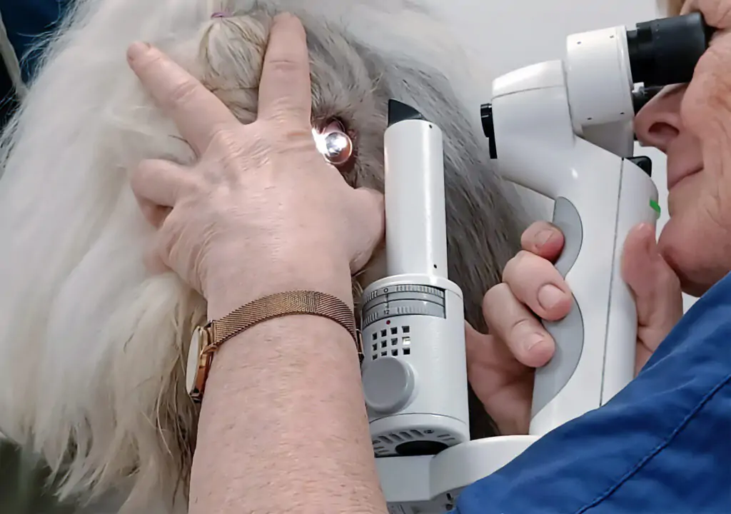 Doing gonioscopy