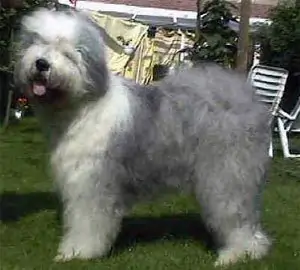 Youandi Hit The Road