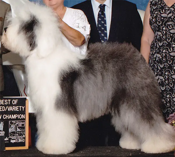 Ken-Bear's Stardust N' Smoke Over Bugaboo