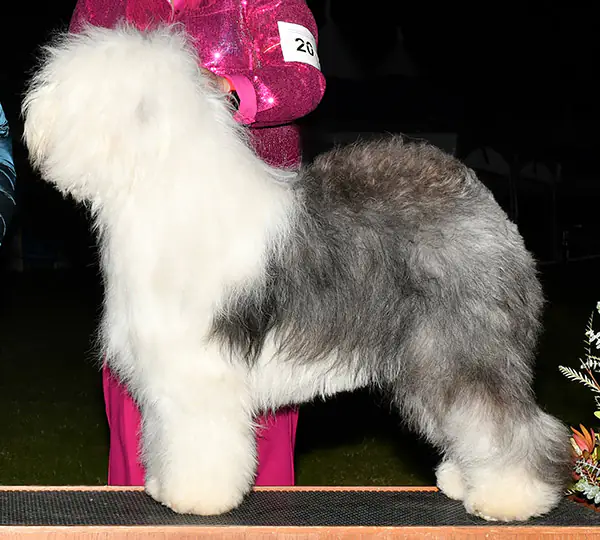 Love'n Stuff Life Of The Party